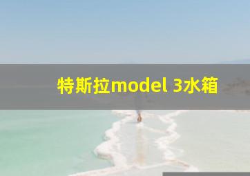 特斯拉model 3水箱